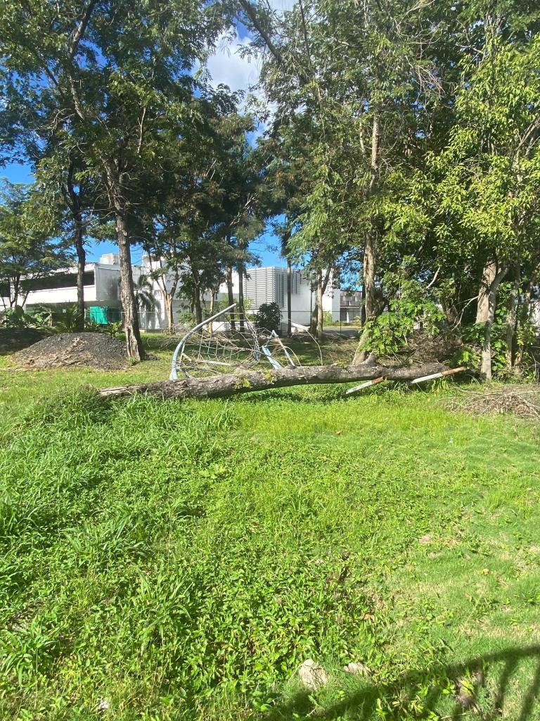 Parque Robert Junghanns (enero 2023)