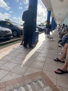 Dueños de mascotas esperan su turno para ser vacunados en el evento de vacunación a bajo costo realizado por Veterinario Express en sus oficinas de Bayamón