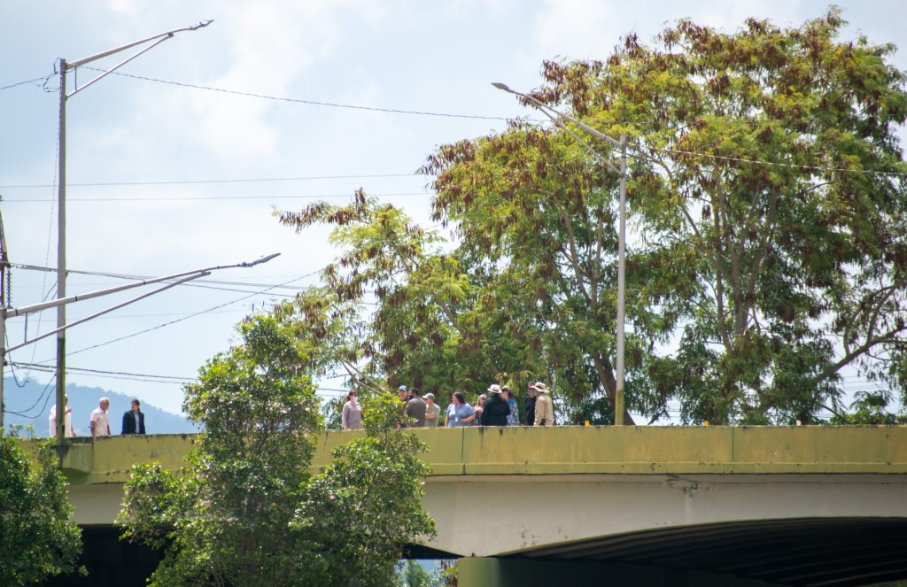 El senador Vargas Vidot observando el mogote afectado por la asfaltera desde el puente de la PR-6. Fue guiado por miembros de las comunidades aledañas a la asfaltera