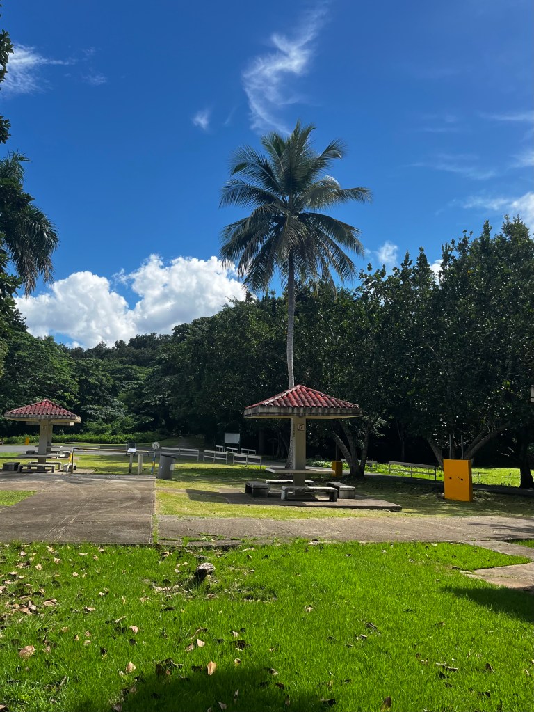 El parque Julio Enrique Monagas en Bayamon. Césped verde con hojas, amplia vegetación y unas estructuras con mesas en cemento para sentarse a comer.
